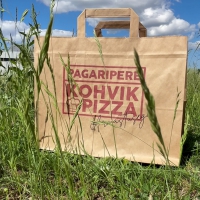 Paberkott 320x220x250 mm, 250tk - 2